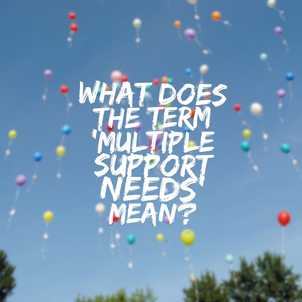 SensationALL What Is Multiple Support Needs
